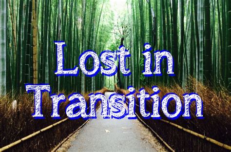 Lost In Transition Cultural Observations From Japan