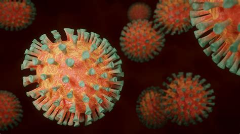 It is very contagious and has quickly spread around the world. Covid-19: el virus que golpeó al mundo en el 2020 | Radio ...
