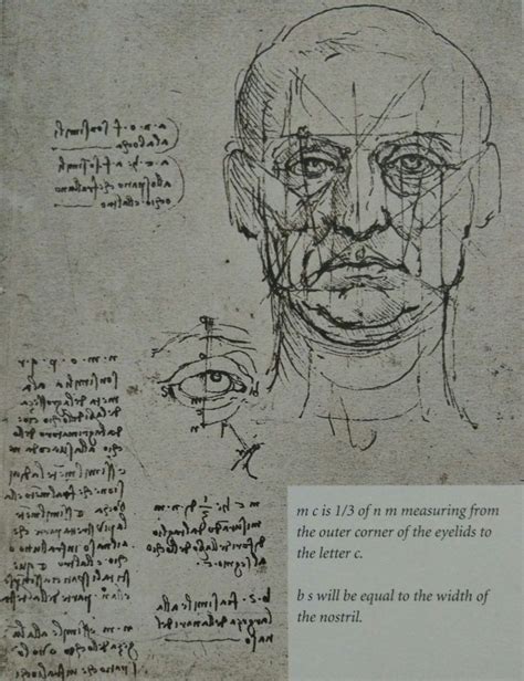 Leonardo Da Vinci Anatomy References 3dart In 2021 Portrait Drawing