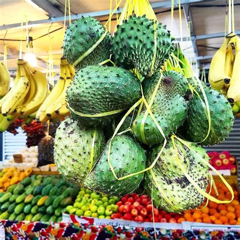 Soursop, annona muricata is manganese and vitamin c rich fruit support for parasite control, sedation soursop is known by a plethora of different names depending on its country of cultivation. Soursop in Kuala Lumpur, Malaysia | Fruit, Food culture ...