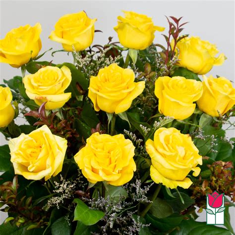 Non Valentine Beretanias Extra Long Stem Yellow Rose Masterpiece 30