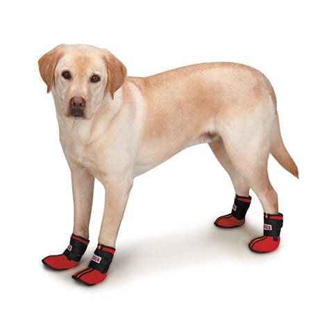 Kong High Top Neoprene Dog Boots With Same Day Shipping Baxterboo