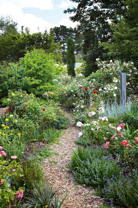 Cottage Style Rose Garden In The Southern Highlands Town Of Berrima