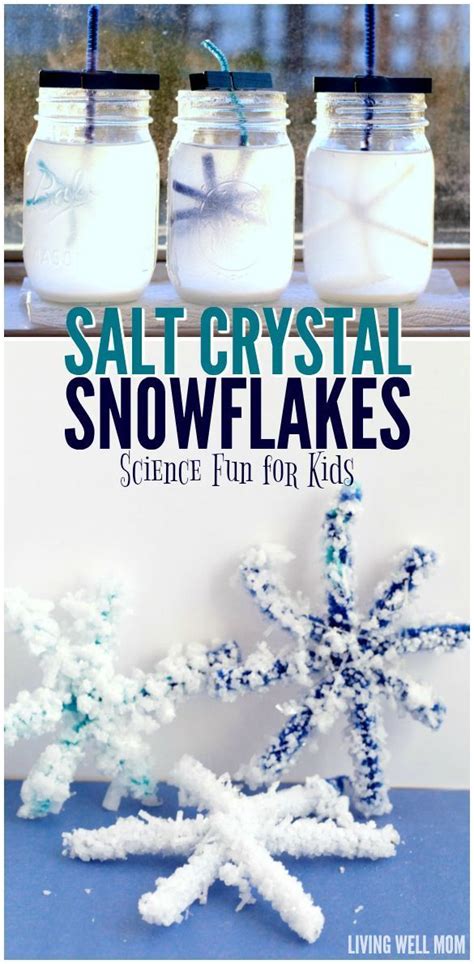 Salt Crystal Snowflake Easy Winter Stem Science For Kids In 2023