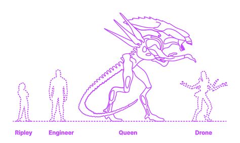 Xenomorph Queen Dimensions And Drawings