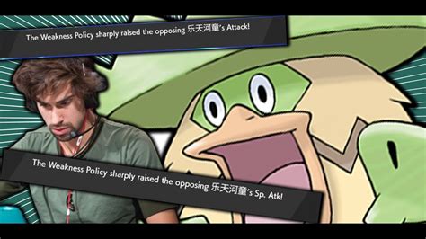 Ludicolo's best moves are razor leaf and leaf storm ludicolo best move sets are ordered by weave / cycle dps. I GET DESTROYED BY WEAKNESS POLICY LUDICOLO - YouTube