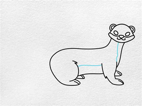 How To Draw A Weasel Helloartsy