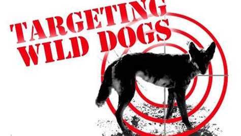 Wild Dog Baiting Program Worimi Local Aboriginal Land Council