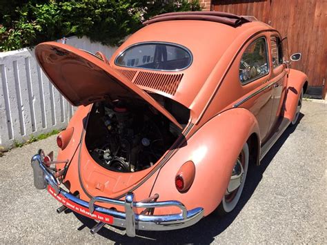 56 Coral Oval Window Vw Beetle Vw Super Beetle Vw Beetles Beetle Bug