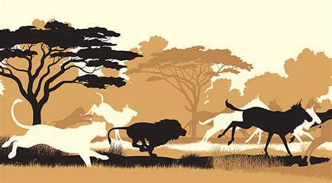 Free download 65 best quality lion drawing at getdrawings. Best Lion Running Illustrations, Royalty-Free Vector Graphics & Clip Art - iStock