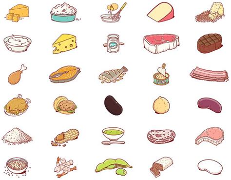 How To Draw Protein Foods Small Perfectly Portioned And Super