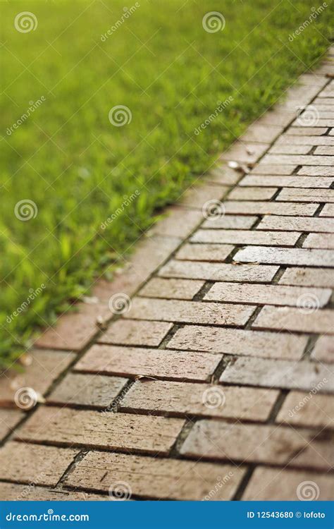 Red Brick Walkway Stock Photo Image 12543680