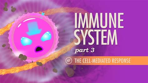 immune system part 3 crash course aandp 47