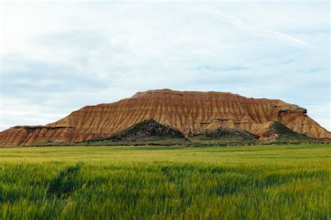 Green Grass Of Desert — Paulfudalphotography
