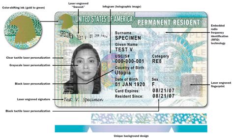 A green card gives you the status of a permanent resident along with legal rights to work in the usa. U.S. Citizenship and Immigration Services Permanent Resident Green Card Authenticity Guide ...