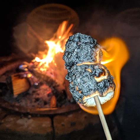 Smore Please The Perfect Ratio Of Crispy To Gooey In A Marshmallow