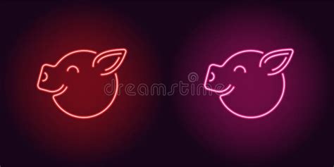 Neon Piglet Face In Red And Pink Color Stock Vector Illustration Of