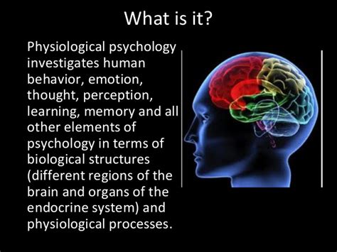 A Detailed View Of Physiological Psychology Moenguy