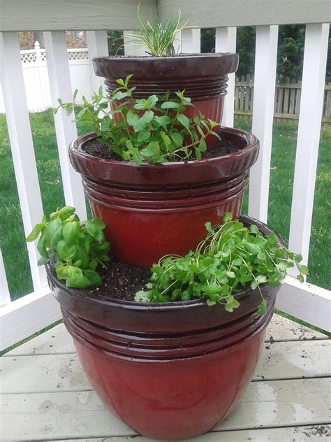 Just Planted My Herb Gardenincluding Chives Mint Basil And
