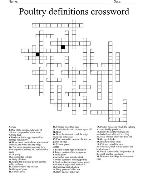 Poultry Crossword Wordmint