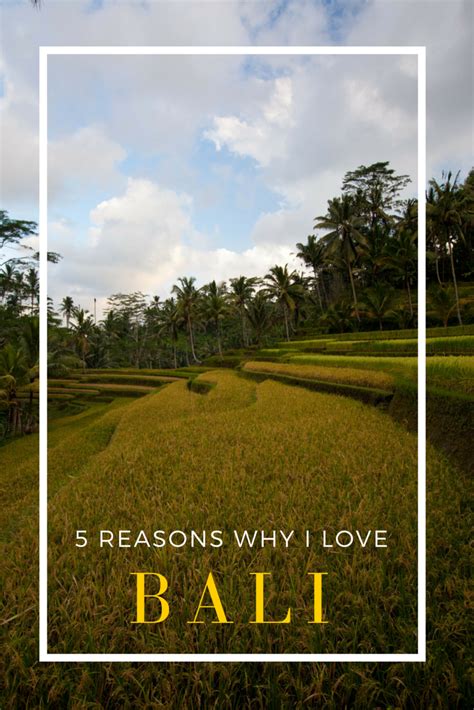 5 Reasons Why I Love Bali Bali Travel Bali Travel Spot