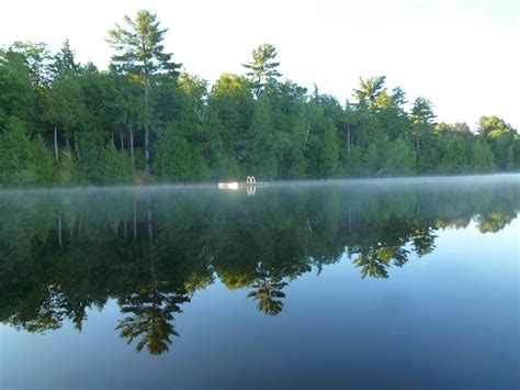 Free Images Tree Forest Mist Morning Lake Summer Reflection