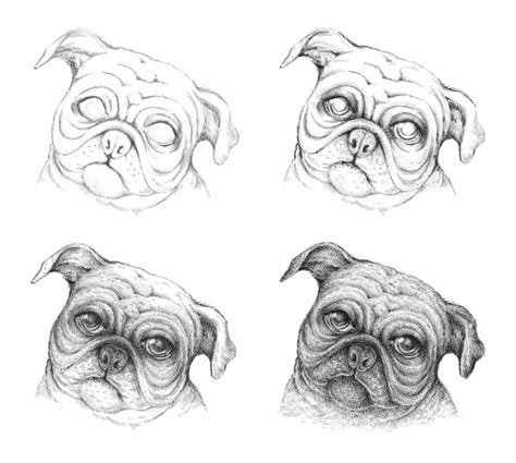 You know how to draw a dog's face. New Tutorial: Drawing A Pug Dog - Eugenia Hauss | Dog drawing