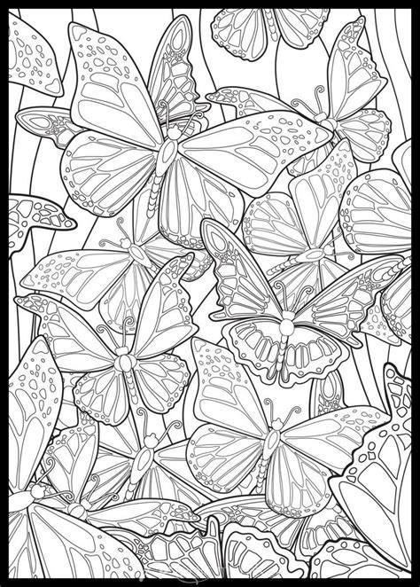 Tropical Butterflies Butterfly Coloring Page Coloring