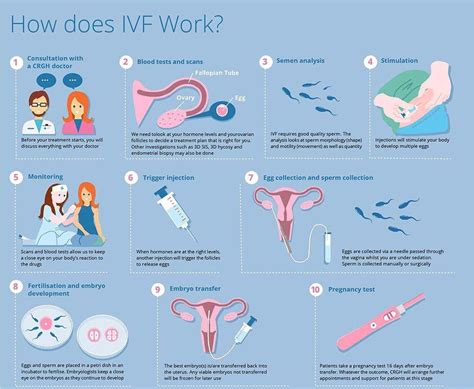 The fertilised egg, called an embryo, is then returned to the woman's womb to grow and. Best IVF Treatment in Hyderabad | Low Cost IVF Treatment ...