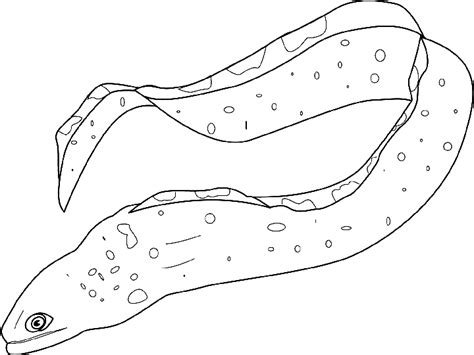 100% free sea life coloring pages. Coloring moray eel picture