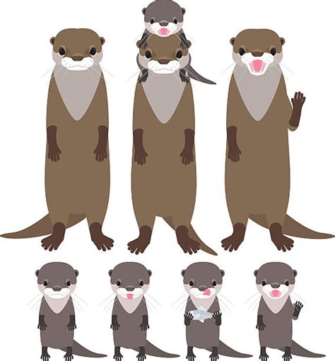 River Otter Illustrations Royalty Free Vector Graphics And Clip Art Istock
