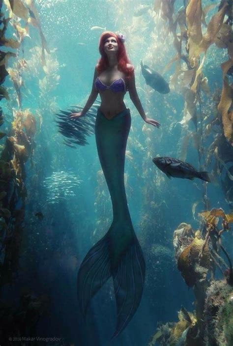 Pin By Rob Van Der Lei On Zeemeermin Mermaid Photography Fantasy