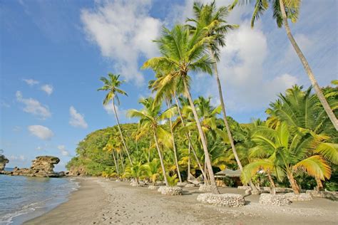 Luxury Resort In Saint Lucia Jade Mountain Responsible Travel