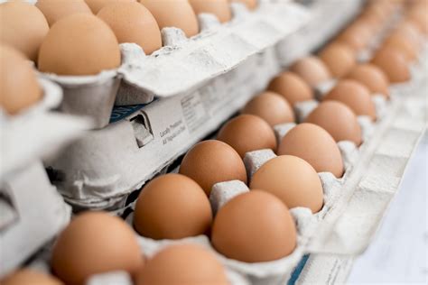 8 Signs To Figure Out If Your Egg Carton Has Gone Bad