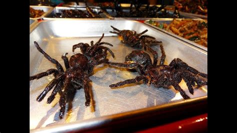 Italian fiesta pizzeria has been a family owned tradition for more than 70 years. 24 Disgusting Delicacy Foods From Around the World - Eww ...