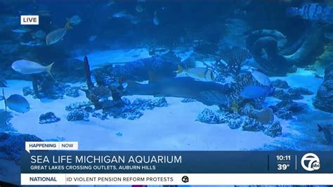 Sea Life Michigan Aquarium