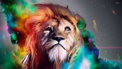 Lion Colorful Wallpapers Wallpapersafari