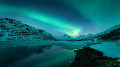 Reflected Northern Lights Lofoten Norway Backiee