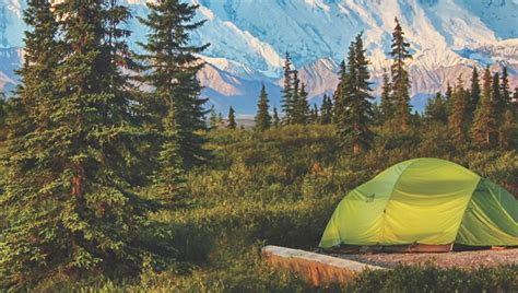 Camping Is The Best Way To Explore Denali National Park