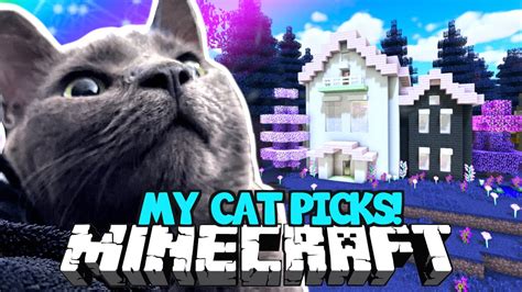 💙 My Cat Picks My Minecraft Build Youtube