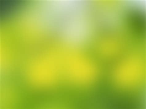 Soft Green Mac Wallpaper Download Allmacwallpaper
