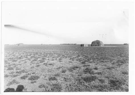 alfalfa field near garden city finney county kansas kansas memory kansas historical society