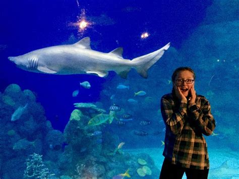 Maybe you would like to learn more about one of these? Denver Aquarium COUPON CODE! || Pix & Details