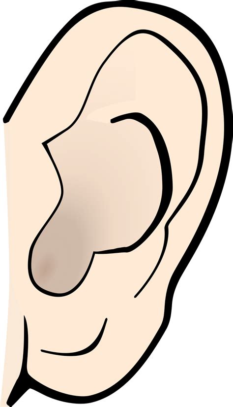 Ears Clip Art Clipart Free To Use Resource Wikiclipart