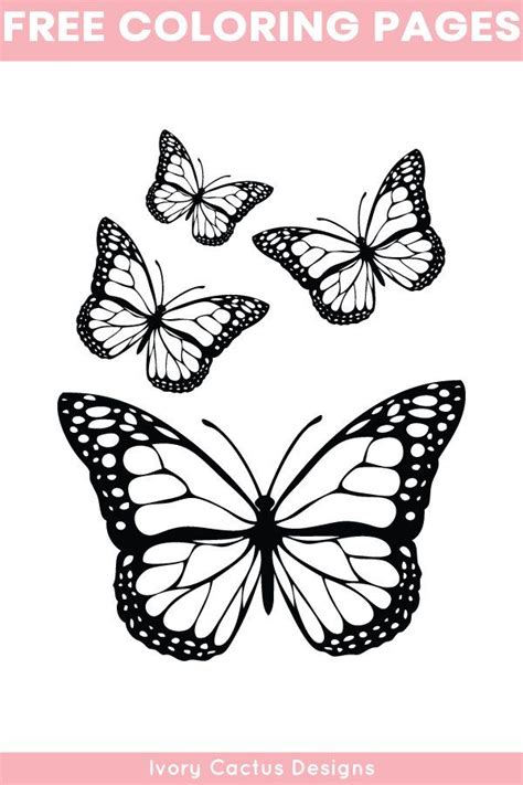 Https://tommynaija.com/coloring Page/adult Butterfly Coloring Pages Finished