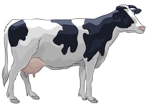 Holstein Cow Clipart Free Download Transparent Png Creazilla Riset