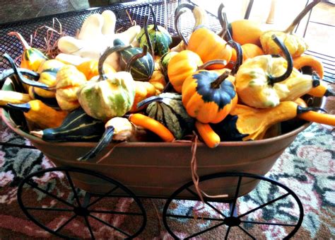 Fall Gourds Are So Much Fun They Are The Perfect Addition In Any Fall