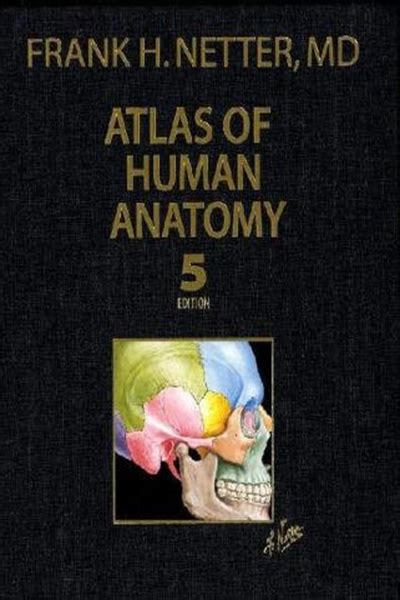 Atlas Of Human Anatomy Professional Edition 5th Edition Netter