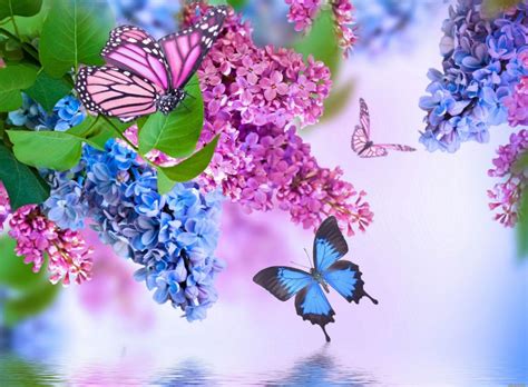 Insects Butterflies Lilac Animals Flowers Butterfly