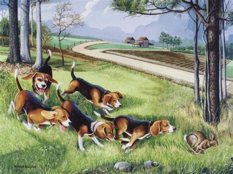 Beagle Hunting Beagle Hound Coon Hunting Rabbit Hunting Beagle Art